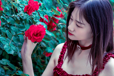 “智慧口岸+标准共建”重塑中越跨境物流格局